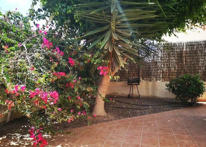 Casa Silencio, With Terrace, Garden And Large Pool Area 別荘 コラレホ